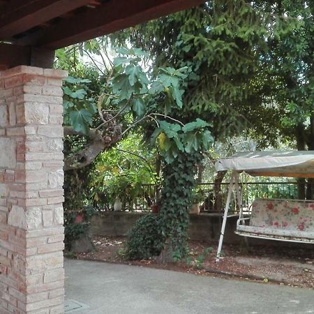 토티 Agriturismo Cerquaglia 빌라 외부 사진