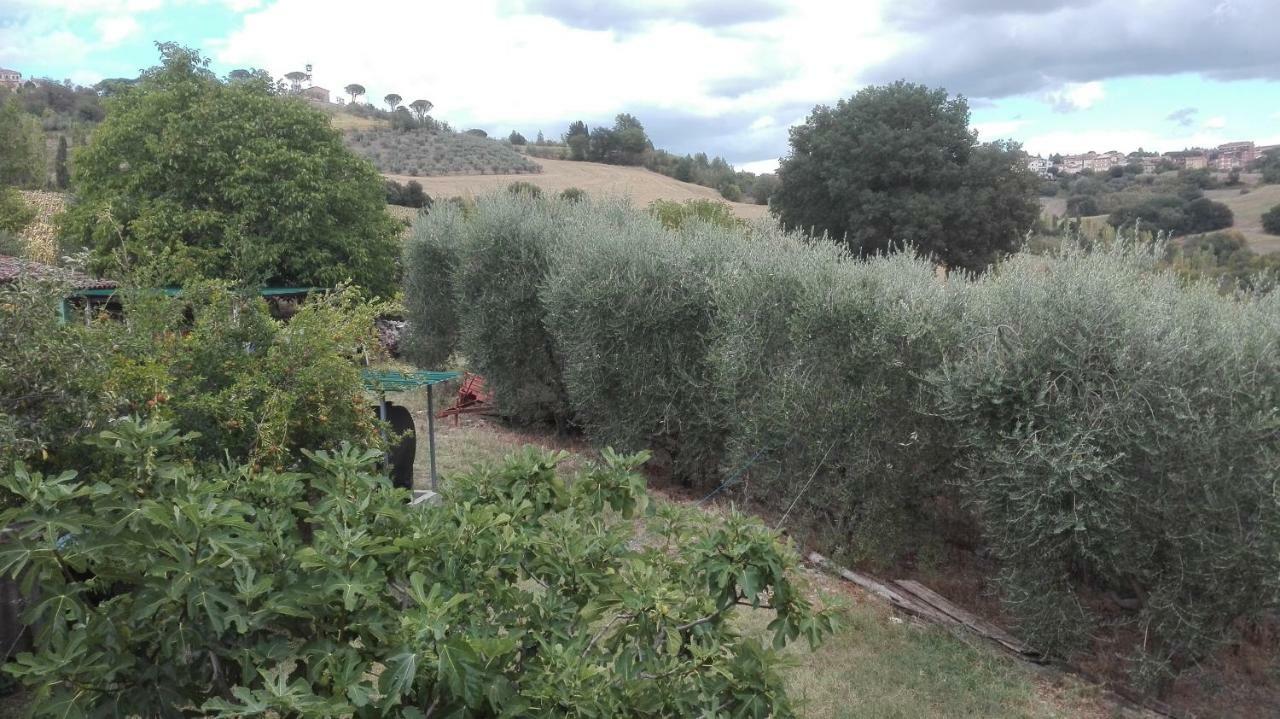 토티 Agriturismo Cerquaglia 빌라 외부 사진