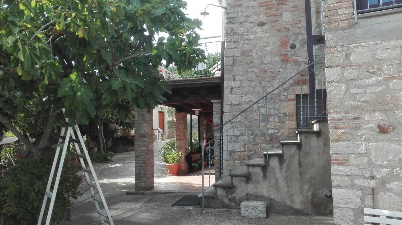 토티 Agriturismo Cerquaglia 빌라 외부 사진